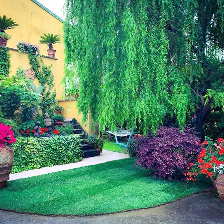 Le Pinette Bed and Breakfast Ameglia Exteriör bild