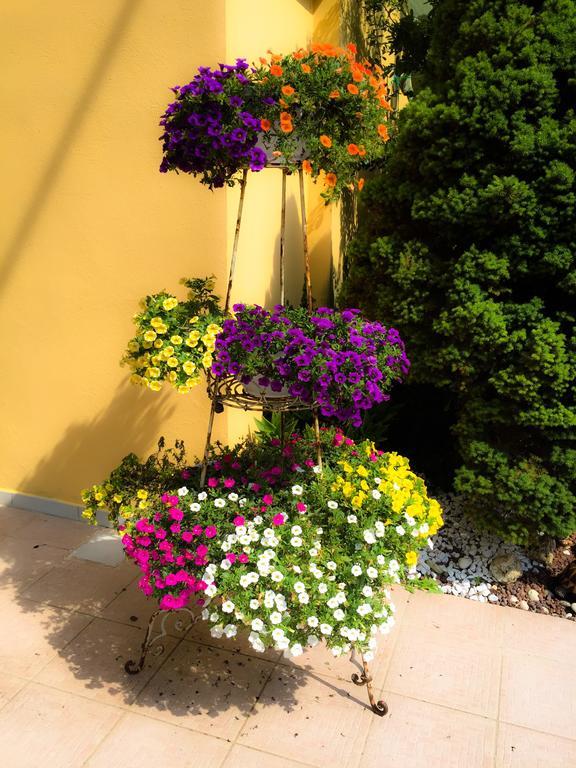 Le Pinette Bed and Breakfast Ameglia Exteriör bild
