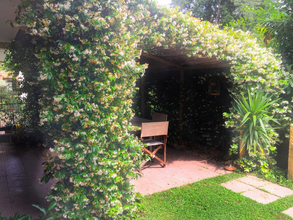 Le Pinette Bed and Breakfast Ameglia Exteriör bild