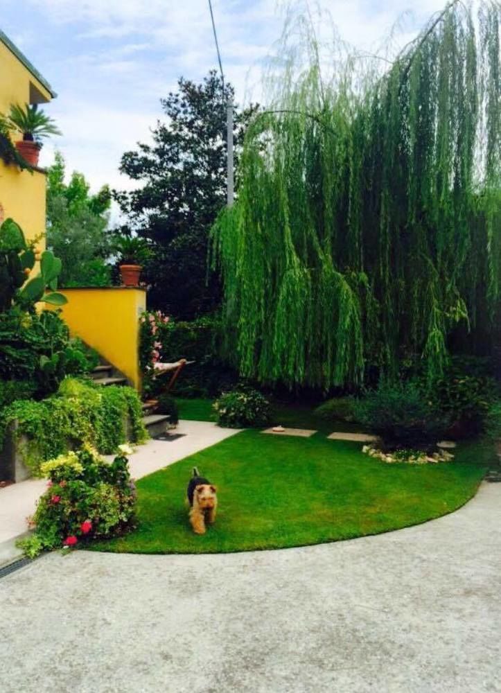 Le Pinette Bed and Breakfast Ameglia Exteriör bild